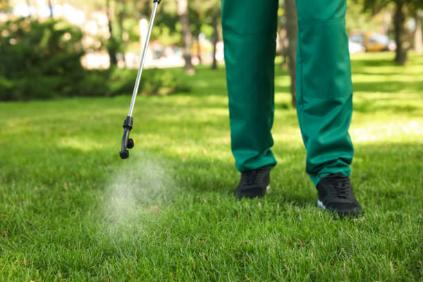 Wasp Removal Services in Lake Forest Park, WA