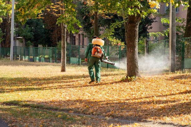 Insect Control in Lake Forest Park, WA